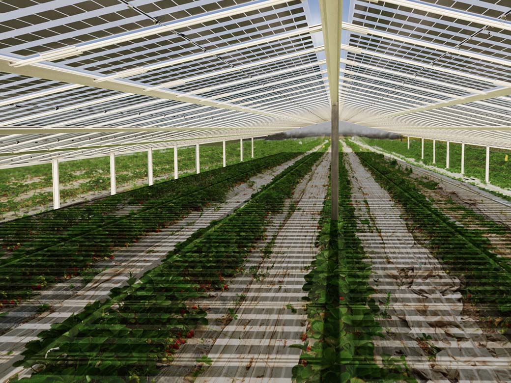 Abu Dhabi führt eine Solar-Eigenversorgungspolitik ein und öffnet damit die Tür für Solarenergie vor Ort.